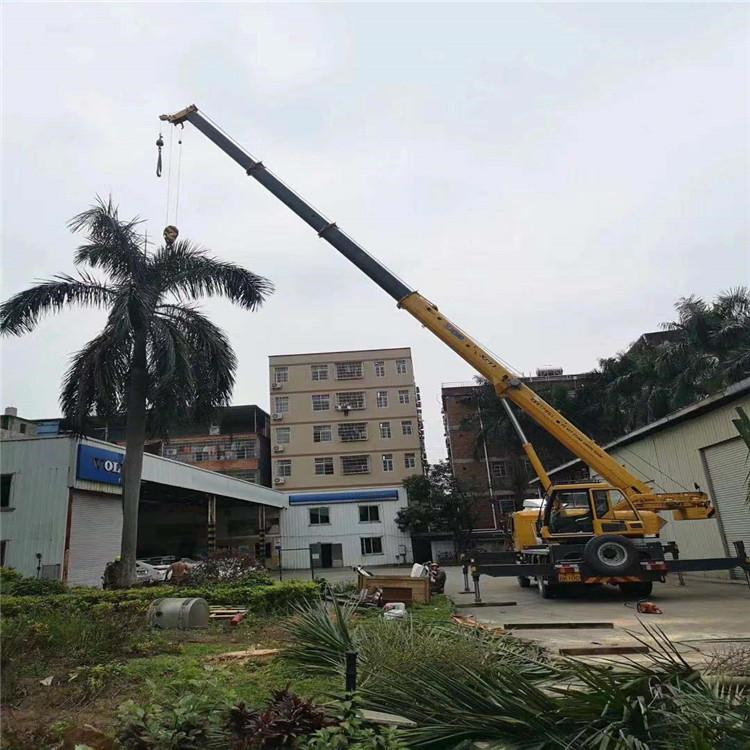 坡头汽车吊出租多少钱？全面解析与市场行情